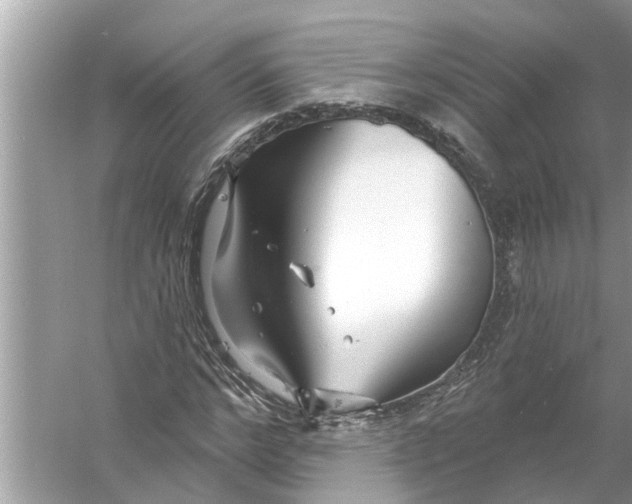 X0000056010968200509162340