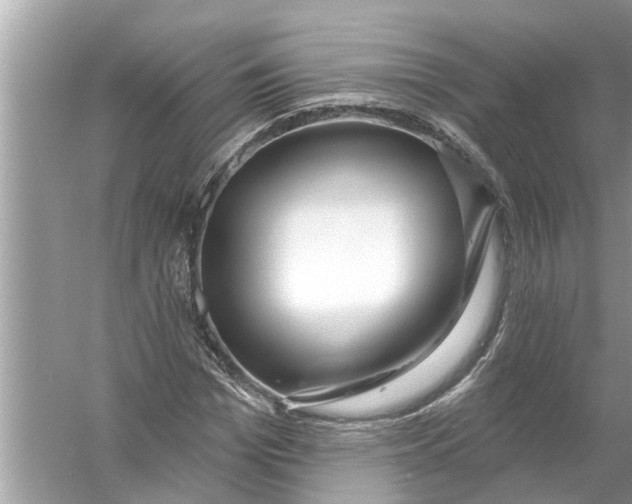 X0000056010969200509162340