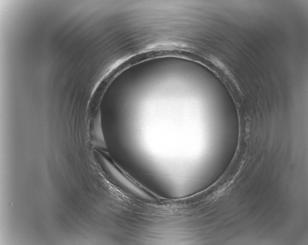 X0000056010973200509162339