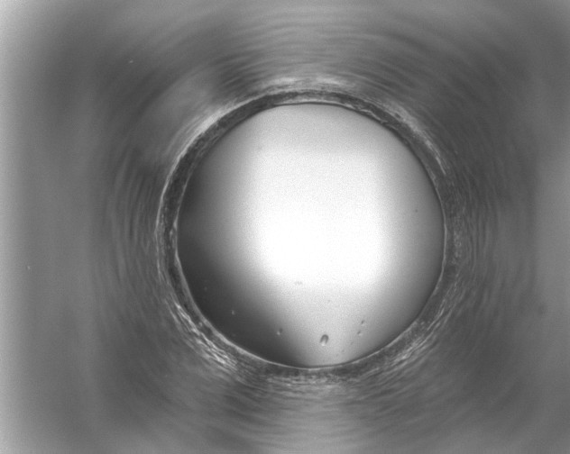 X0000056010975200509162339