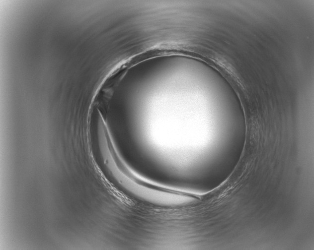 X0000056010976200509162339