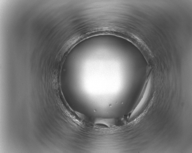 X0000056010977200509162339