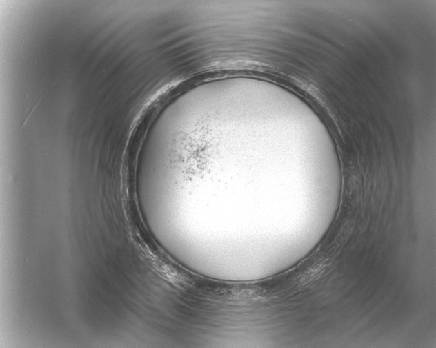 X0000056010979200509162339