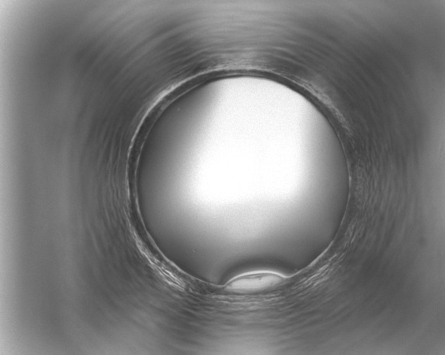 X0000056010980200509162339