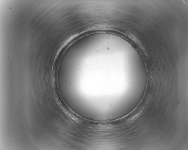 X0000056010981200509162339