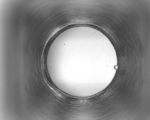 X0000056010982200509162339