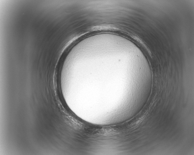 X0000056010983200509162339