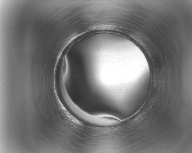 X0000056010984200509162339