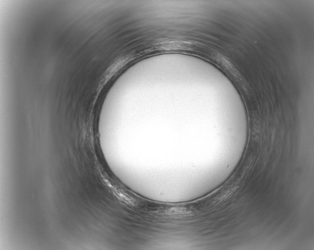 X0000056010986200509162339