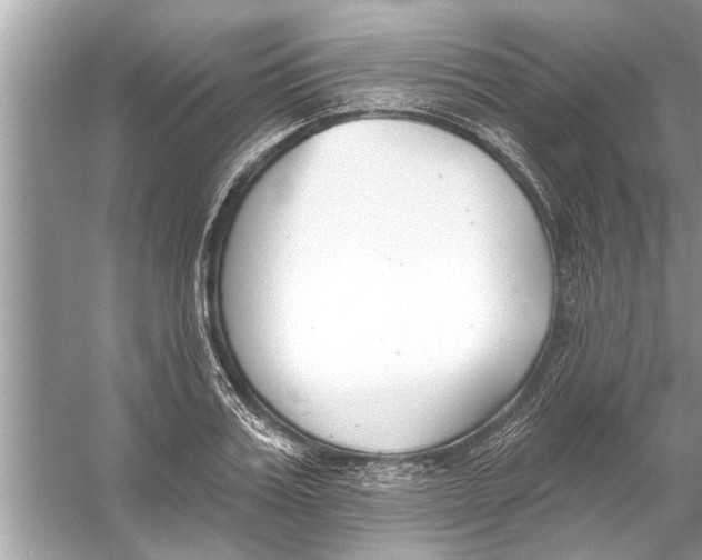 X0000056010987200509162339