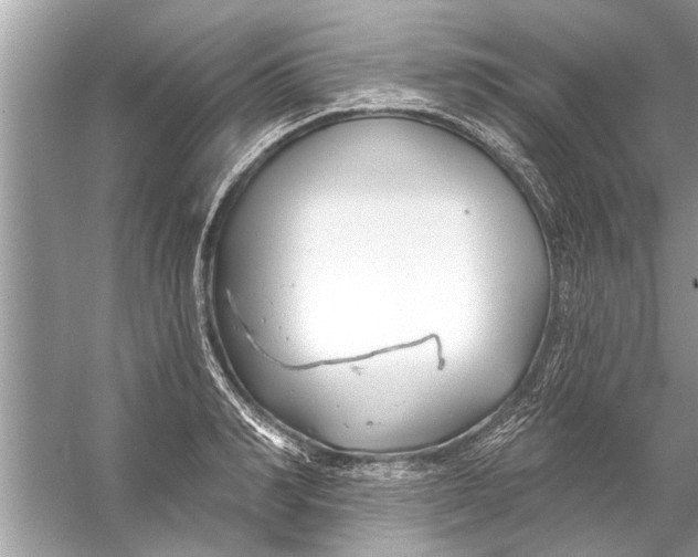 X0000056010990200509162339