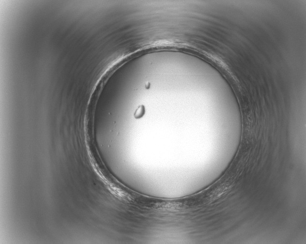 X0000056010991200509162339