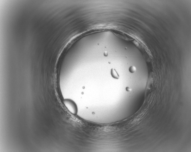 X0000056010992200509162339