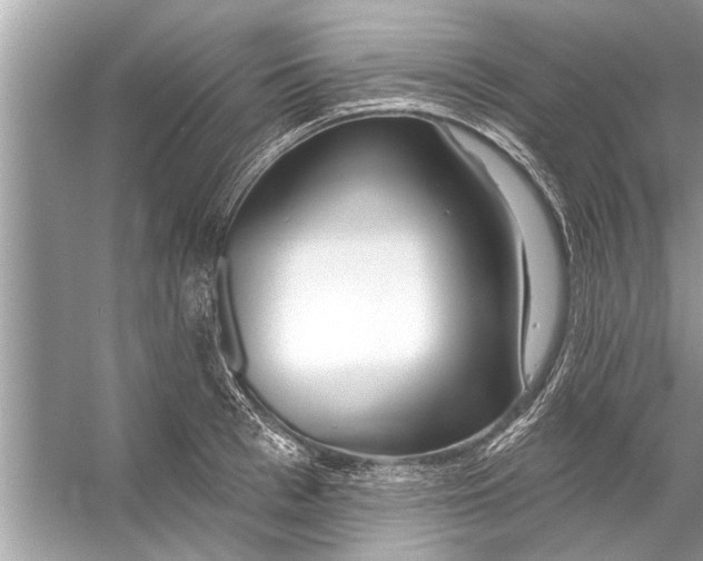 X0000056010993200509162339