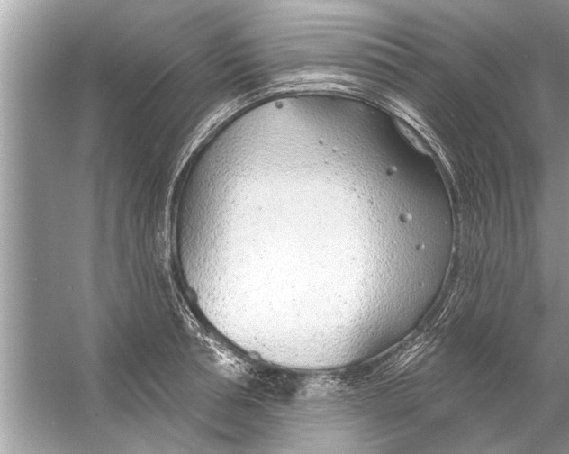 X0000056010994200509162339