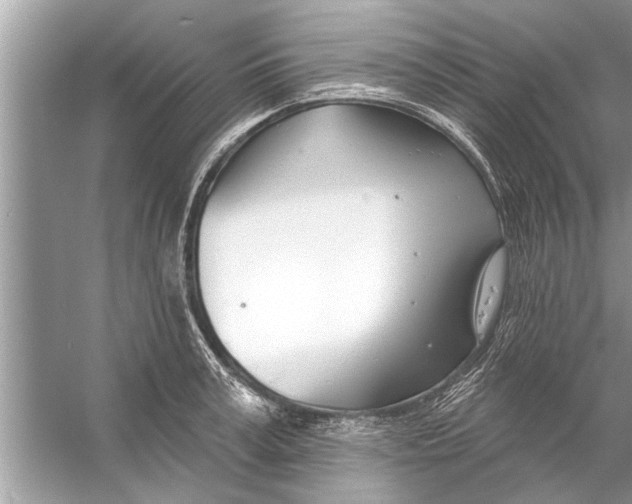 X0000056010995200509162339