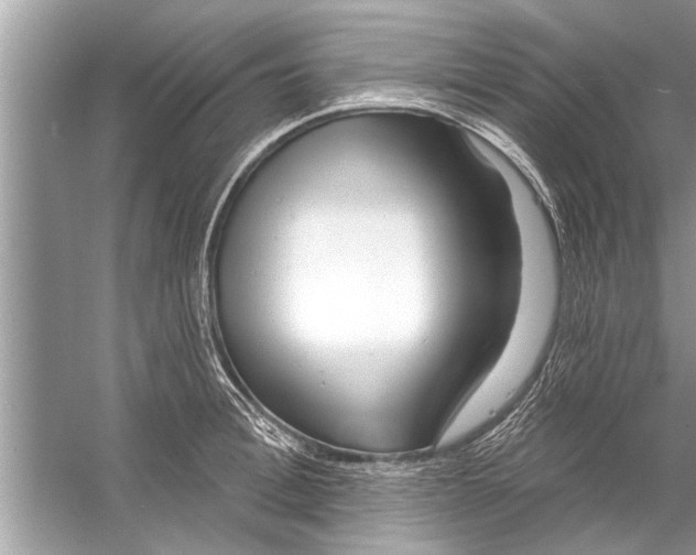 X0000056010996200509162339