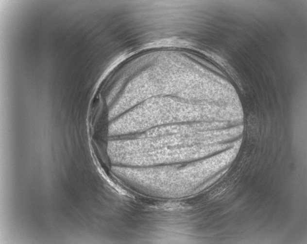 X0000056010998200509162339