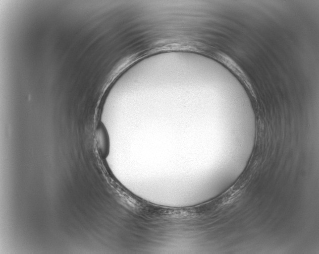 X0000056011002200509162339