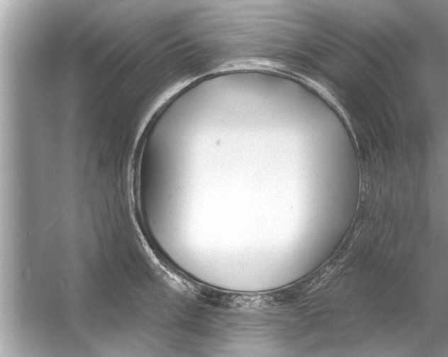 X0000056011003200509162339