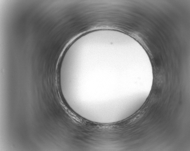 X0000056011004200509162339