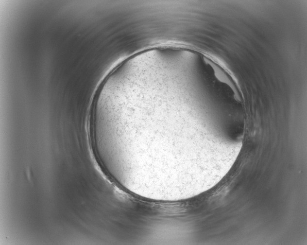 X0000056011007200509162339