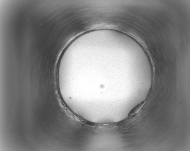 X0000056011008200509162339