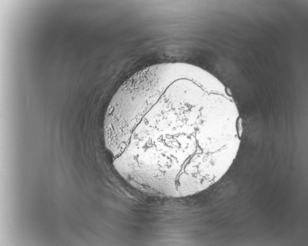 X0000056011009200509162338