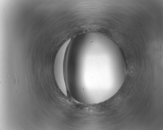 X0000056011010200509162338