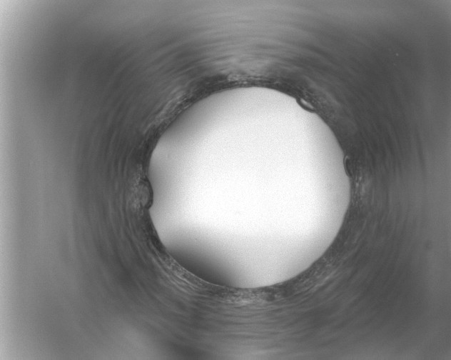 X0000056011012200509162338