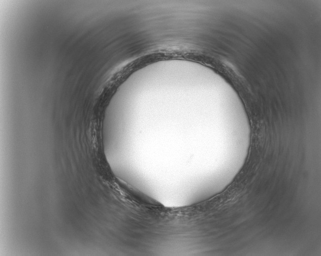 X0000056011016200509162338