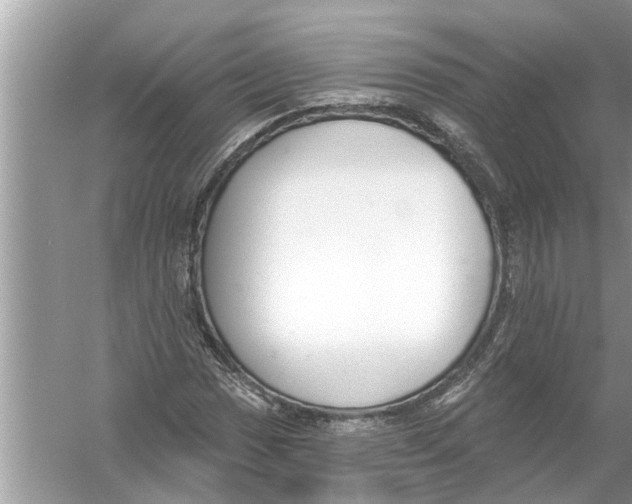 X0000056011017200509162338