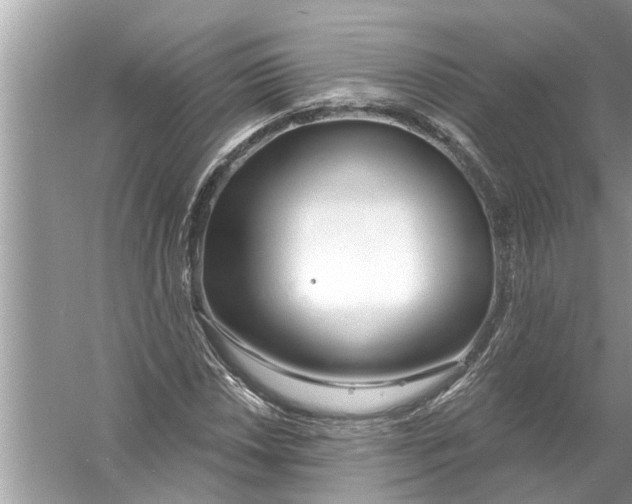 X0000056011018200509162338