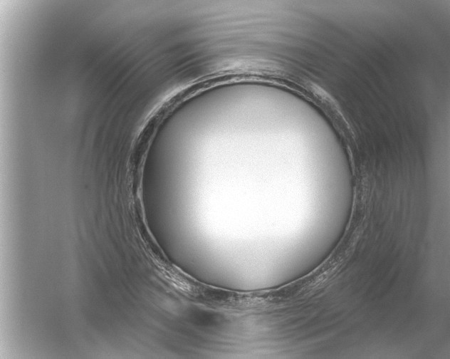 X0000056011019200509162338