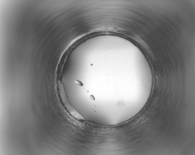 X0000056011020200509162338