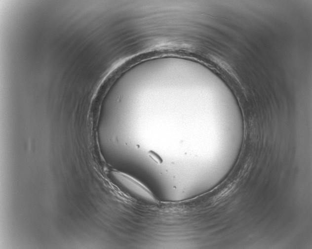 X0000056011021200509162338