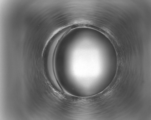 X0000056011022200509162338