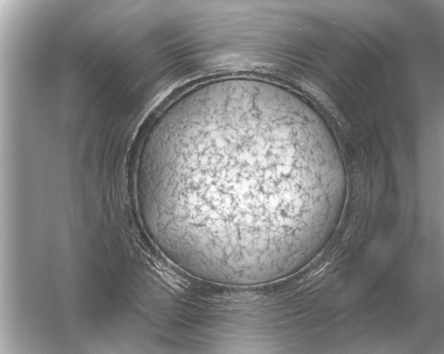 X0000056011023200509162338