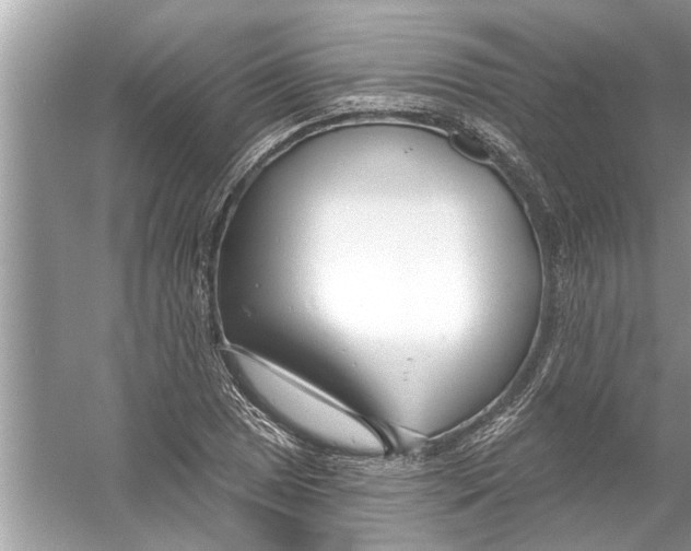 X0000056011025200509162338