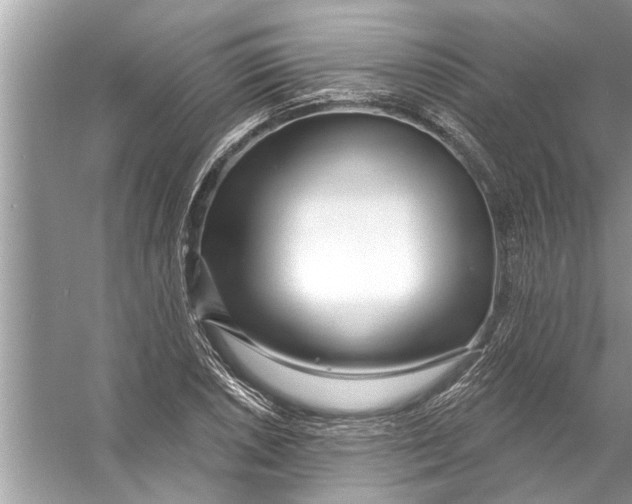 X0000056011026200509162338