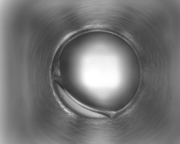 X0000056011030200509162338