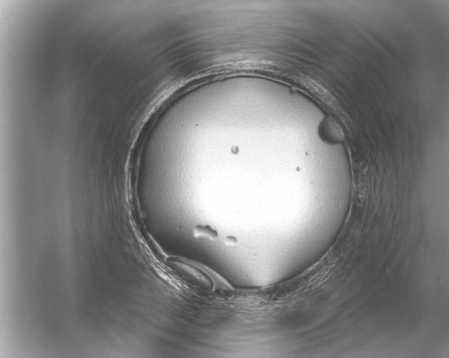 X0000056011031200509162338