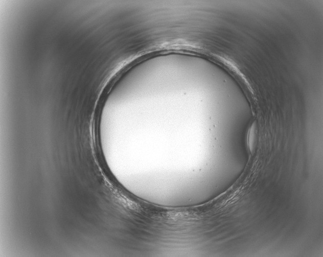 X0000056011032200509162338