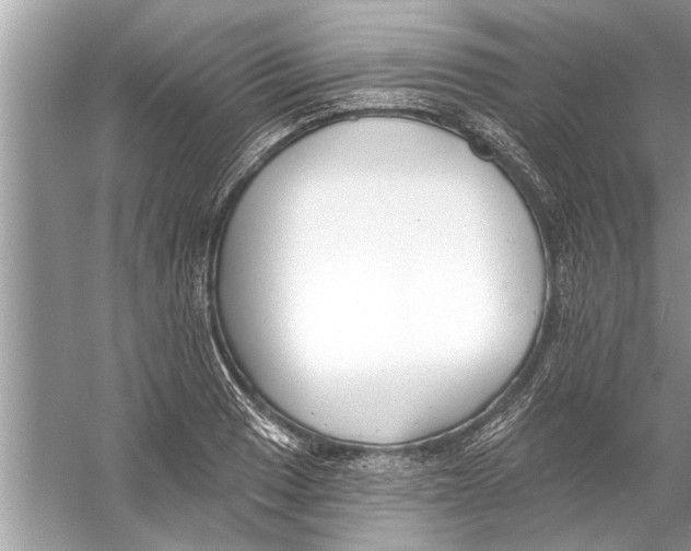 X0000056011033200509162338