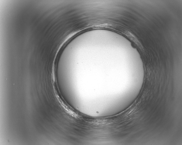 X0000056011036200509162339