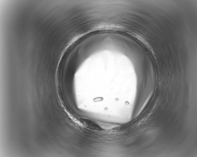 X0000056011037200509162339