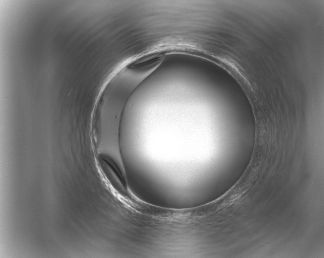 X0000056011038200509162339