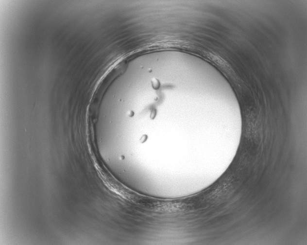 X0000056011039200509162339