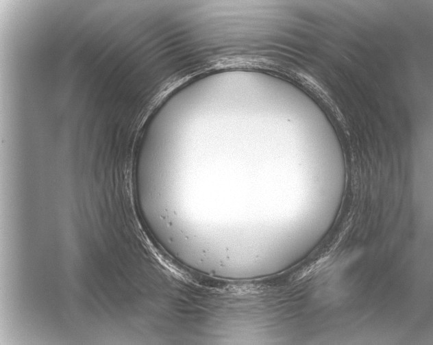 X0000056011041200509162339