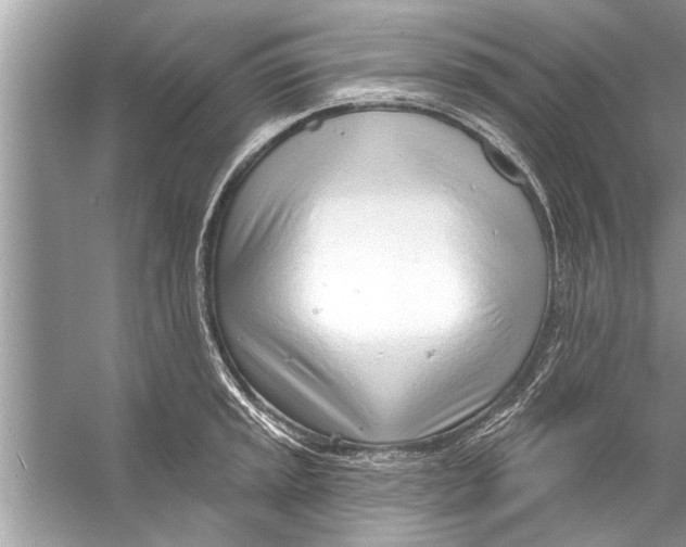 X0000056011045200509162339